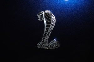 2012-03-19 - got the keys