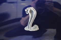 Schluesseluebergabe-Shelby-GT500-19.03.2012-015