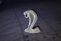 Schluesseluebergabe-Shelby-GT500-19.03.2012-016