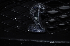 Schluesseluebergabe-Shelby-GT500-19.03.2012-023