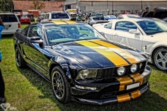 IMG_0121a1a