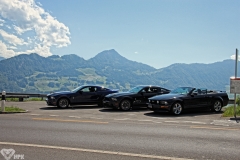 IMG_0854a1a