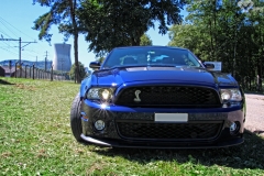 IMG_1713a1a