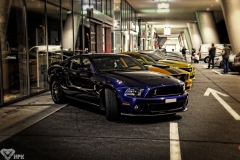 IMG_1974a1a