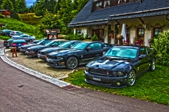 IMG_2347a