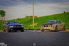 IMG_7319a1