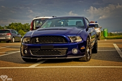 IMG_7427a1