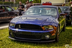 IMG_7528a1