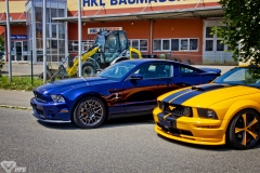 IMG_7953a1