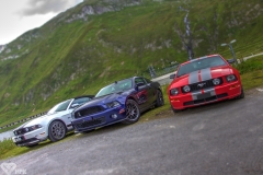 IMG_0846hdr1a