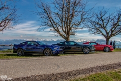 IMG_0528hdr1a