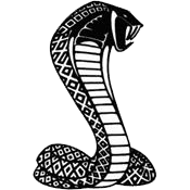 Ford Mustang Shelby GT-500